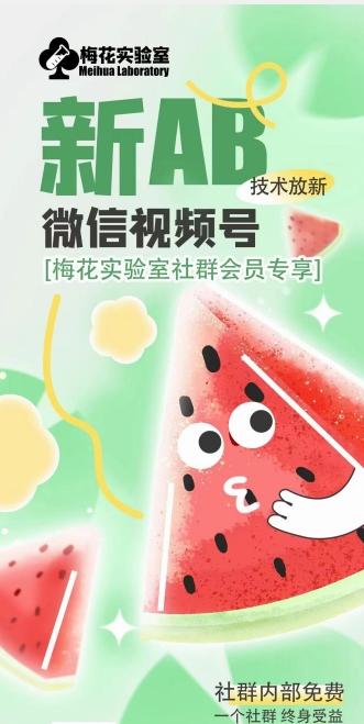 梅花实验室2024年AB技术视频号AB合成破解版-蜜桃网创