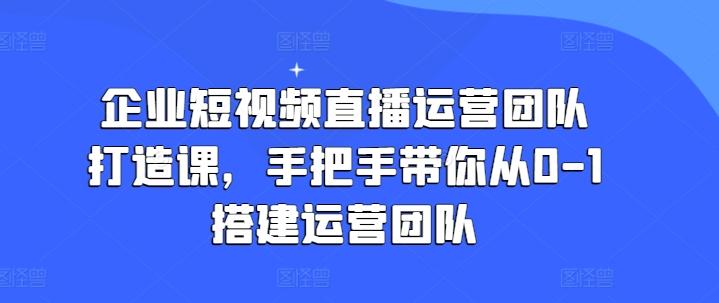 企业短视频直播运营团队打造课，手把手带你从0-1搭建运营团队-蜜桃网创