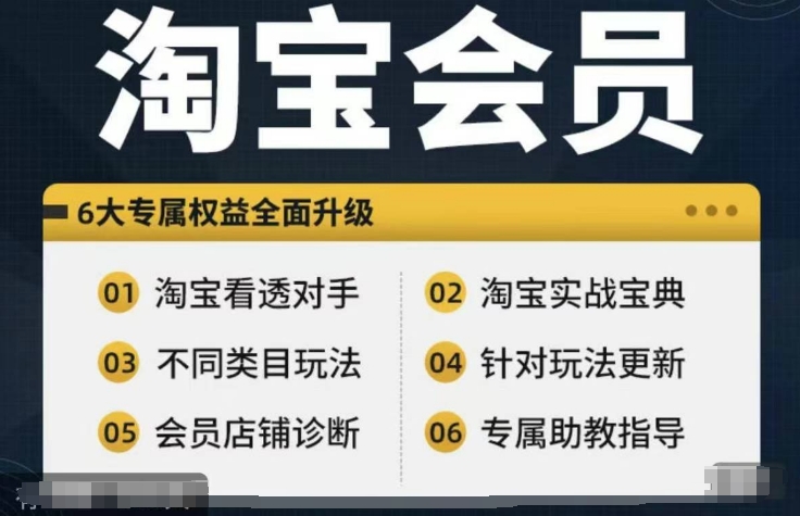 淘宝会员【淘宝所有课程，全面分析对手】，初级到高手全系实战宝典-蜜桃网创