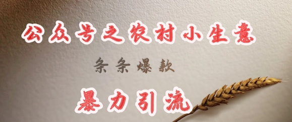 deepseek写农村小项目，条条爆款，暴力引流-蜜桃网创