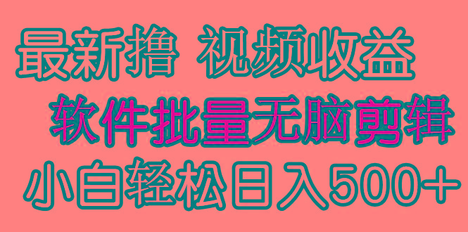 (9569期)发视频撸收益，软件无脑批量剪辑，第一天发第二天就有钱-蜜桃网创