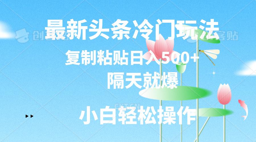 最新头条冷门玩法，隔天就爆，复制粘贴日入500+-蜜桃网创
