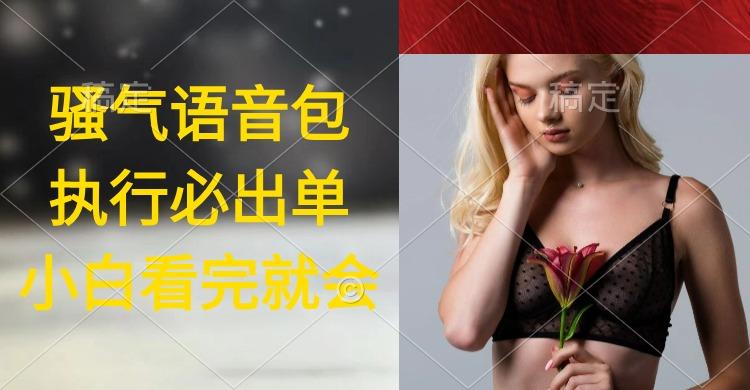 (9589期)执行就出单，日入2000+，超火骚气语音包，小白看完课程就能马上实操-蜜桃网创