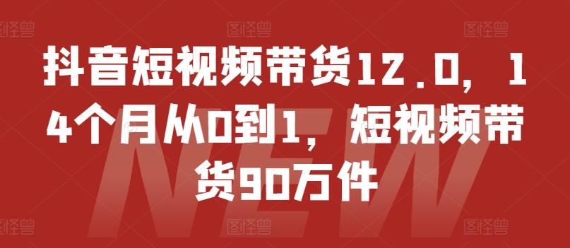 抖音短视频带货12.0，14个月从0到1，短视频带货90万件-蜜桃网创