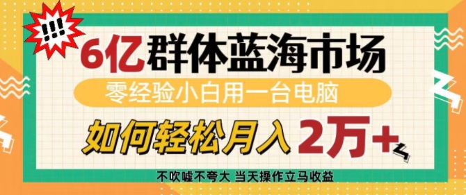 6亿群体蓝海市场,零经验小白用一台电脑,如何轻松月入过w【揭秘】-蜜桃网创