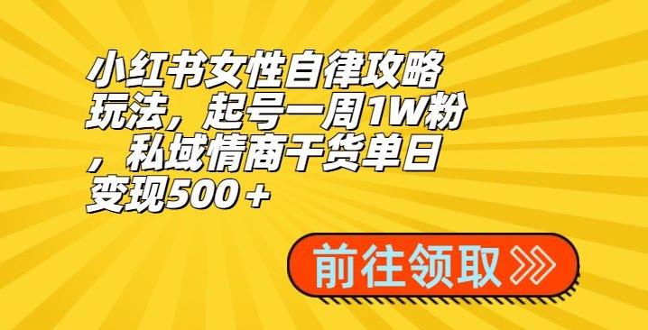 小红书女性自律攻略玩法，起号一周1W粉，私域情商干货单日变现500＋-蜜桃网创
