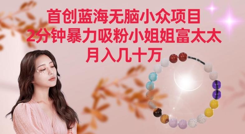 首创蓝海无脑小众项目，2分钟暴力吸粉小姐姐富太太，月入几十万【揭秘】-蜜桃网创