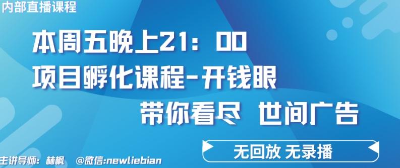 4.26日内部回放课程《项目孵化-开钱眼》赚钱的底层逻辑【揭秘】-蜜桃网创