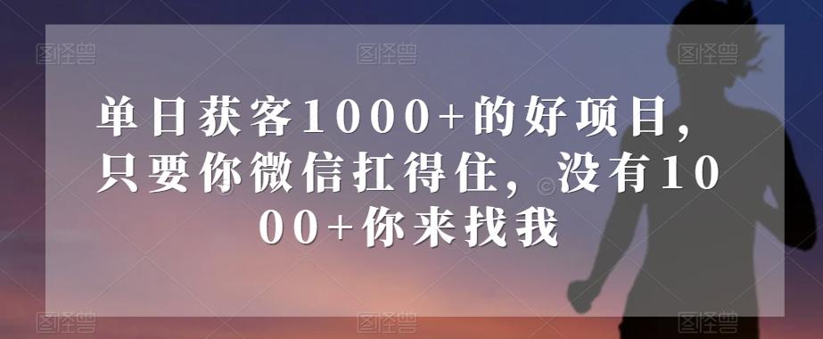 单日获客1000+的好项目，只要你微信扛得住，没有1000+你来找我【揭秘】-蜜桃网创