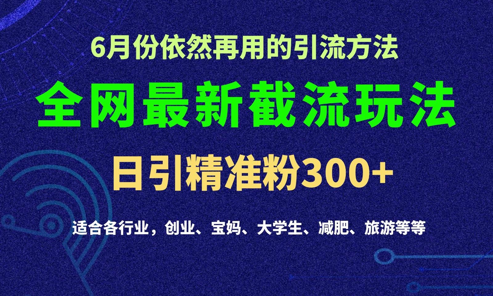 2024全网最新截留玩法,每日引流突破300+-蜜桃网创