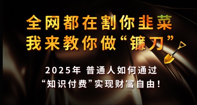 全网都在割你韭菜，我来教你做镰刀，2025年普通人如何通过 知识付费 实现财F自由【揭秘】-蜜桃网创