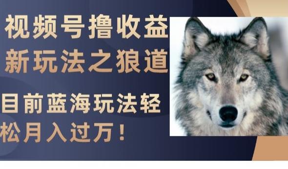 视频号撸收益新玩法之狼道，目前蓝海玩法，轻松月入过万【揭秘】-蜜桃网创