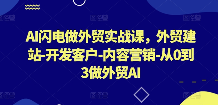 AI闪电做外贸实战课,外贸建站-开发客户-内容营销-从0到3做外贸AI(更新)-蜜桃网创