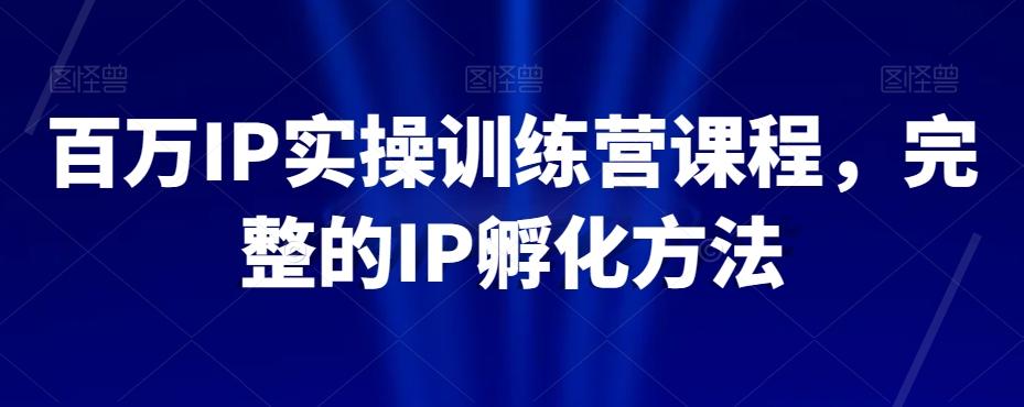 百万IP实操训练营课程，完整的IP孵化方法-蜜桃网创