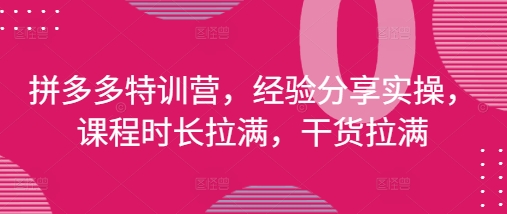 拼多多特训营，经验分享实操，课程时长拉满，干货拉满(更新25年4月)-蜜桃网创