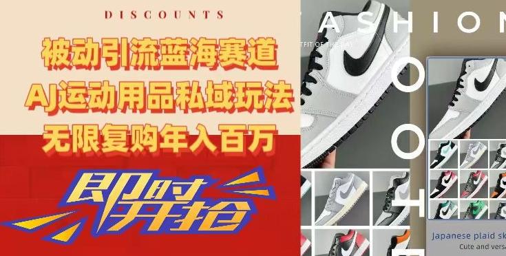 被动引流蓝海赛道，AJ运动用品私域玩法，无限复购年入百万【揭秘】-蜜桃网创