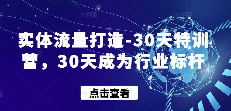 实体流量打造-30天特训营，30天成为行业标杆-蜜桃网创