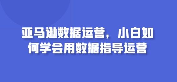亚马逊数据运营，小白如何学会用数据指导运营-蜜桃网创
