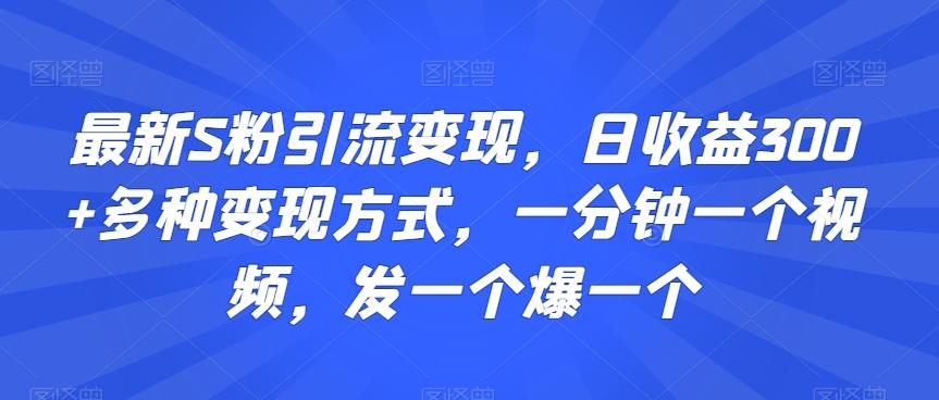 最新S粉引流变现，日收益300+多种变现方式，一分钟一个视频，发一个爆一个【揭秘】-蜜桃网创
