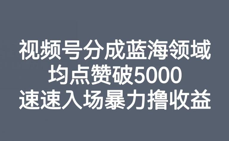 视频号分成蓝海领域，均点赞破5000，速速入场暴力撸收益-蜜桃网创