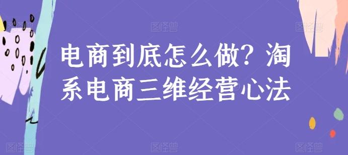 电商到底怎么做？淘系电商三维经营心法-蜜桃网创