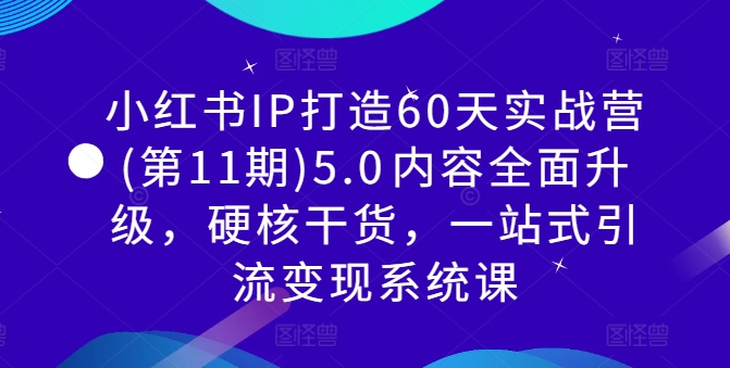 小红书IP打造60天实战营(第11期)5.0内容全面升级,硬核干货,一站式引流变现系统课-蜜桃网创