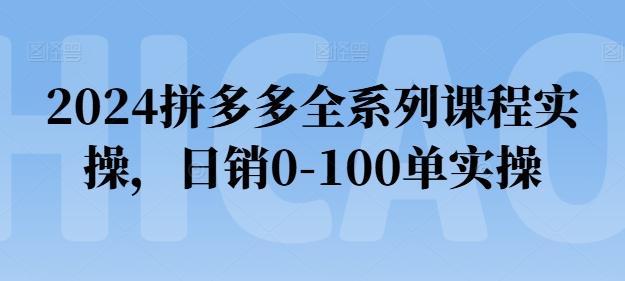 2024拼多多全系列课程实操，日销0-100单实操【必看】-蜜桃网创