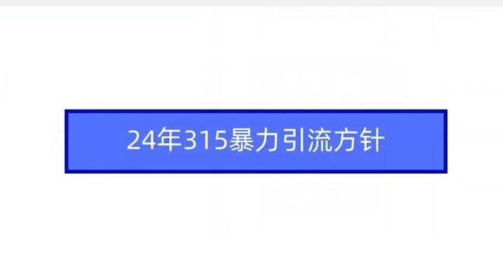 24年315暴力引流方针-蜜桃网创