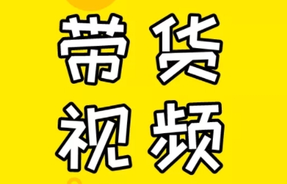 芒果老师·教你做抖音短视频和直播带货-蜜桃网创