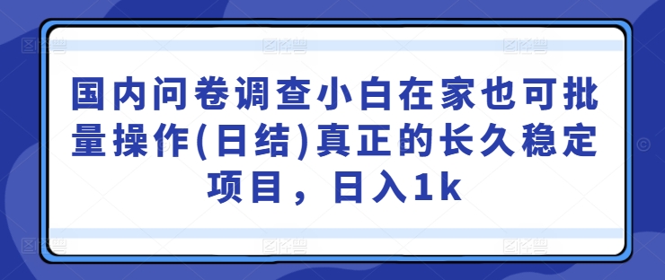 国内问卷调查小白在家也可批量操作(日结)真正的长久稳定项目，日入1k【揭秘】-蜜桃网创