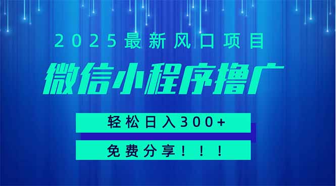 微信小程序撸广，最新风口项目，日入300+ 免费分享 可批量操作 小白可...-蜜桃网创