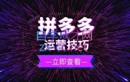力辛电商·拼多多强付费店群玩法-蜜桃网创