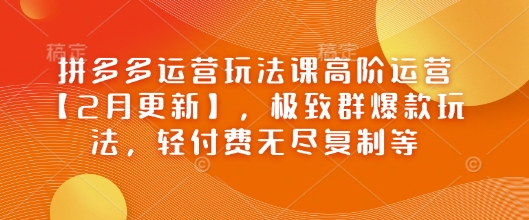 拼多多运营玩法课高阶运营【2月更新】,极致群爆款玩法,轻付费无尽复制等-蜜桃网创