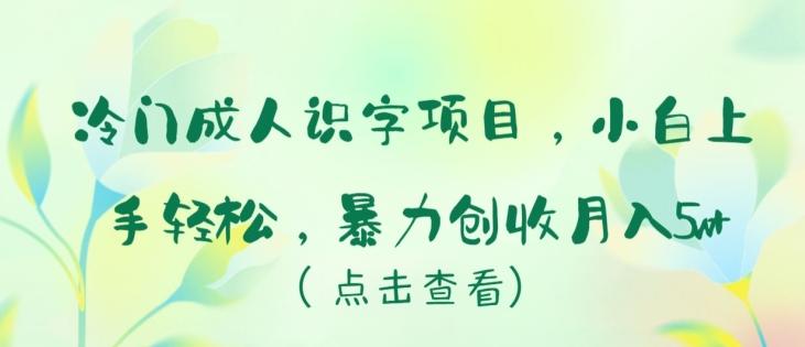 冷门成人识字项目，小白上手轻松，暴力创收月入5w+【揭秘】-蜜桃网创