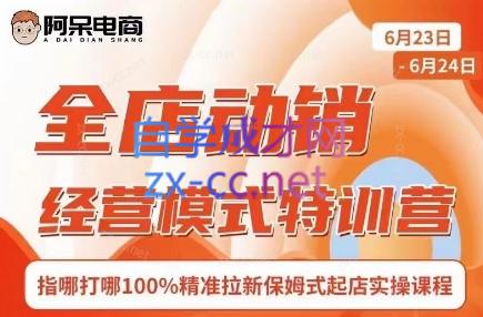 阿呆电商·全店动销经营模式特训营(线下录音+思维导图)-蜜桃网创