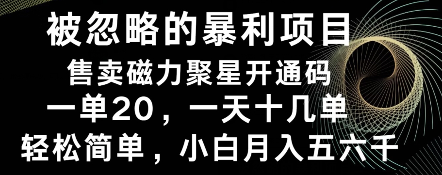 被忽略的暴利项目！售卖磁力聚星开通码，一单20，一天十几单，轻松月入五六千-蜜桃网创