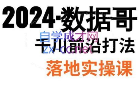 数据哥·2024年千川前沿打法落地实操课-蜜桃网创