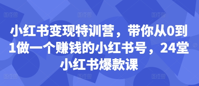 小红书变现特训营，带你从0到1做一个赚钱的小红书号，24堂小红书爆款课-蜜桃网创