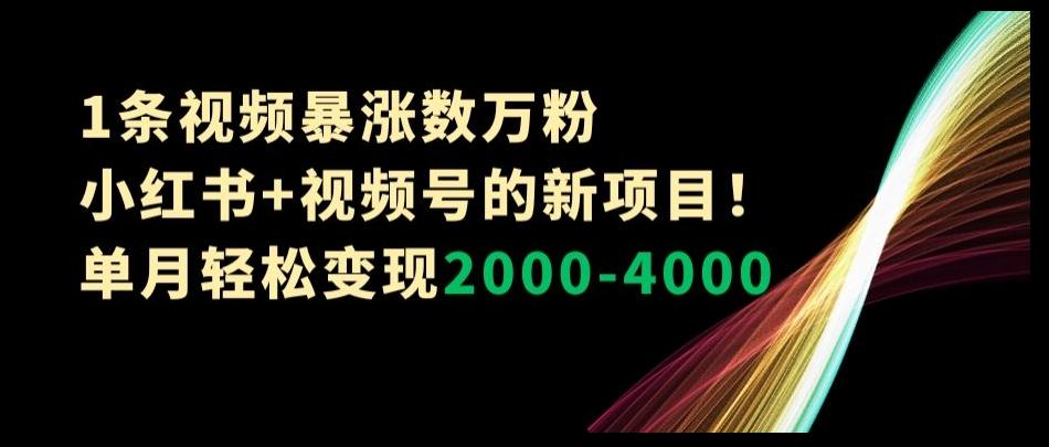 1条视频暴涨数万粉–小红书+视频号的新项目！单月轻松变现2000-4000【揭秘】-蜜桃网创