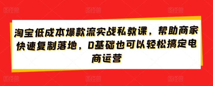 淘宝低成本爆款流实战私教课，帮助商家快速复制落地，0基础也可以轻松搞定电商运营-蜜桃网创