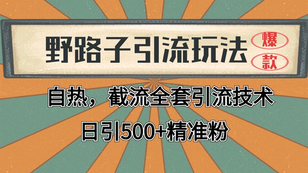 抖音小红书视频号全平台引流打法，全自动引流日引2000+精准客户-蜜桃网创