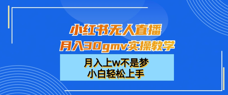 小红书无人直播月入30gmv实操教学，月入上w不是梦，小白轻松上手【揭秘】-蜜桃网创