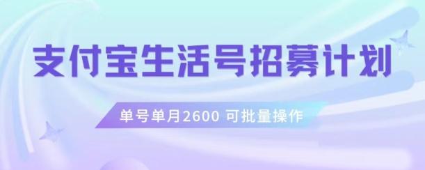 支付宝生活号作者招募计划，单号单月2600，可批量去做，工作室一人一个月轻松1w+【揭秘】-蜜桃网创