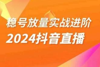 稳号放量实战进阶—2024抖音直播，直播间精细化运营的几大步骤-蜜桃网创