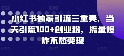小红书独家引流三重奏，当天引流100+创业粉，流量爆炸不愁变现【揭秘】-蜜桃网创