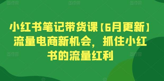 小红书笔记带货课【6月更新】流量电商新机会，抓住小红书的流量红利-蜜桃网创