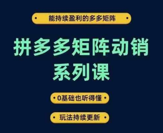 拼多多矩阵动销系列课，能持续盈利的多多矩阵，0基础也听得懂，玩法持续更新-蜜桃网创