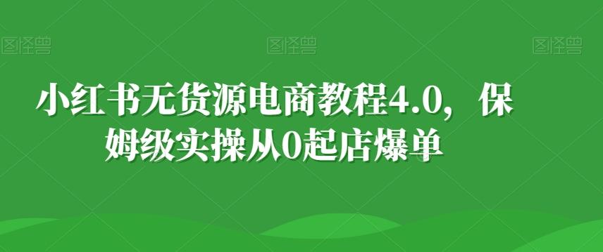 小红书无货源电商教程4.0，保姆级实操从0起店爆单【拆解】-蜜桃网创