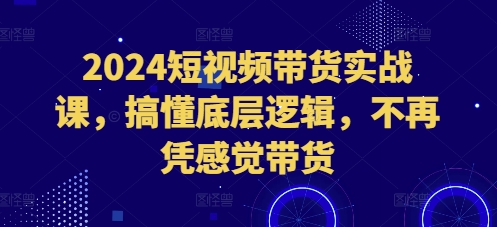 2024短视频带货实战课，搞懂底层逻辑，不再凭感觉带货-蜜桃网创
