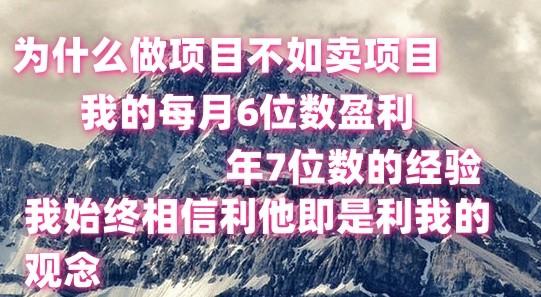 做项目不如卖项目，每月6位数盈利，年7位数经验-蜜桃网创